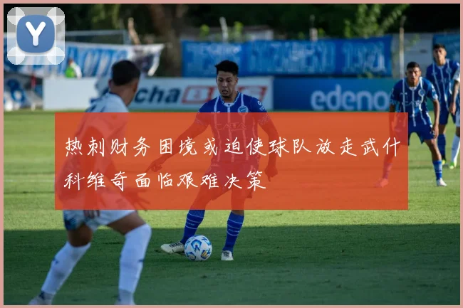 热刺财务困境或迫使球队放走武什科维奇面临艰难决策